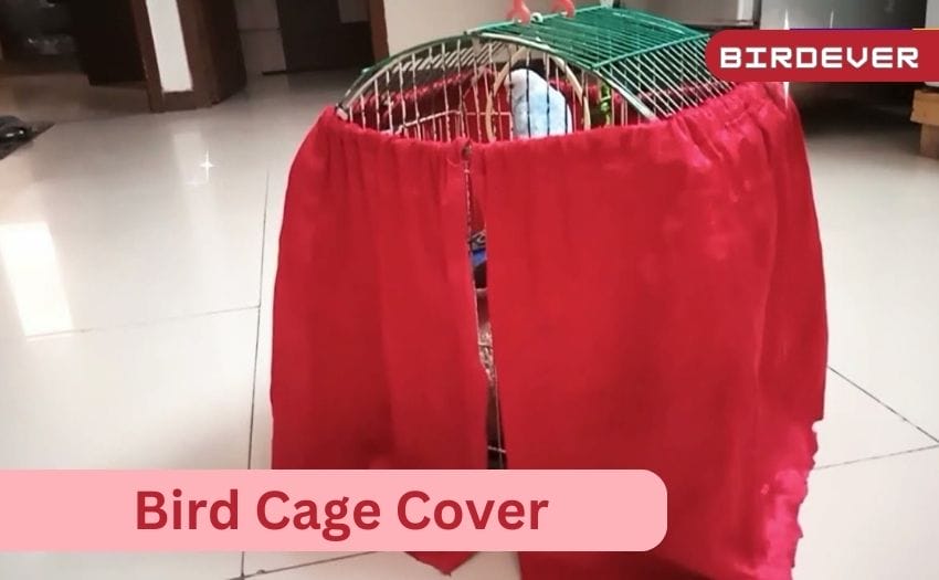 Bird Cage Covers For Winter Protect Your Feathered Friends   Bird Cage Cover 1 