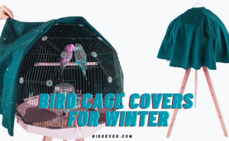 Bird Cage Covers for Winter