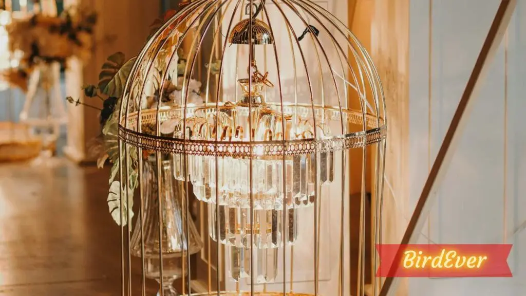 Bird Cage Chandeliers