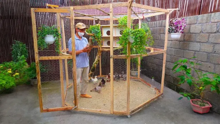 Bird Cages That Look Like Furniture