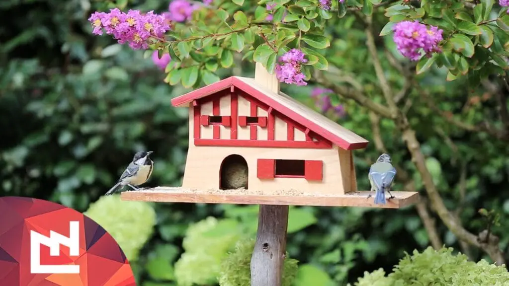 Bird Houses That Look Like Your House (Best Advice in 2023)
