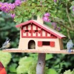 Bird Houses That Look Like Your House: A Unique Twist