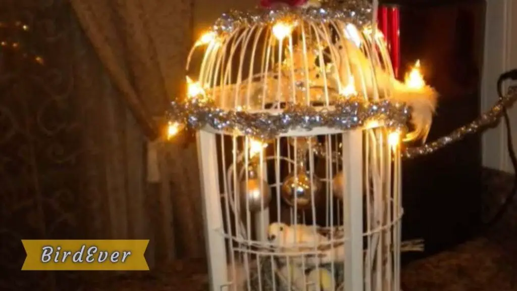 High-End Bird Cage Decorations