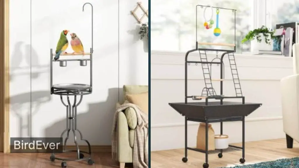 Bird Play Stand on Wheels: Unlocking the Fun 2 Key Features to Look for in a Bird Play Stand