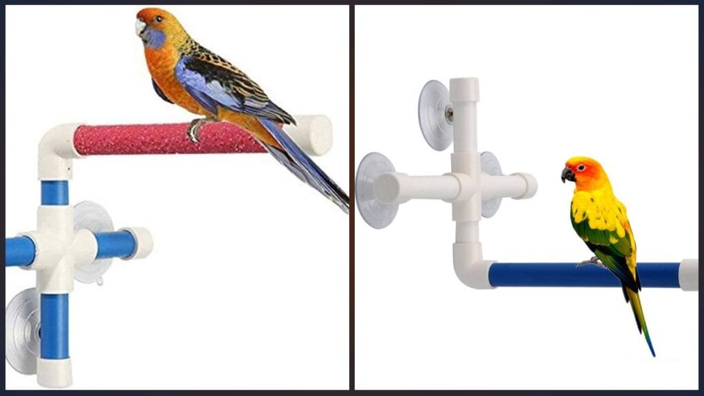 Unlocking the Potential of a Bird Perch with Suction Cup 2 Suction Cup Bird Perch Benefits
