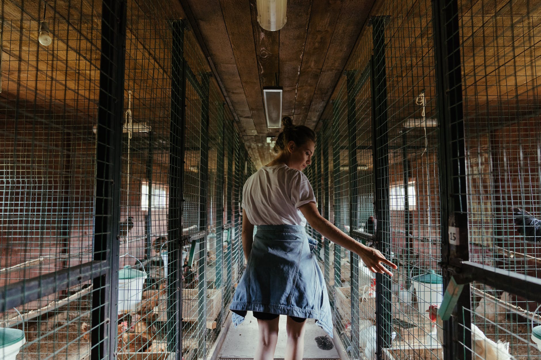 Beautiful Bird Cages That Look Like Furniture 4 woman in white t shirt and black skirt standing on gray metal fence