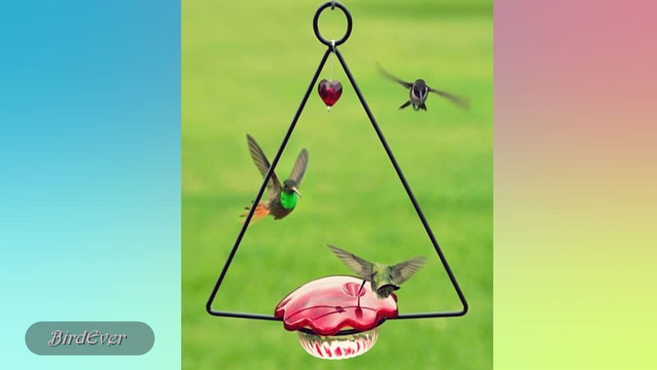 Do Hummingbirds Like Swings