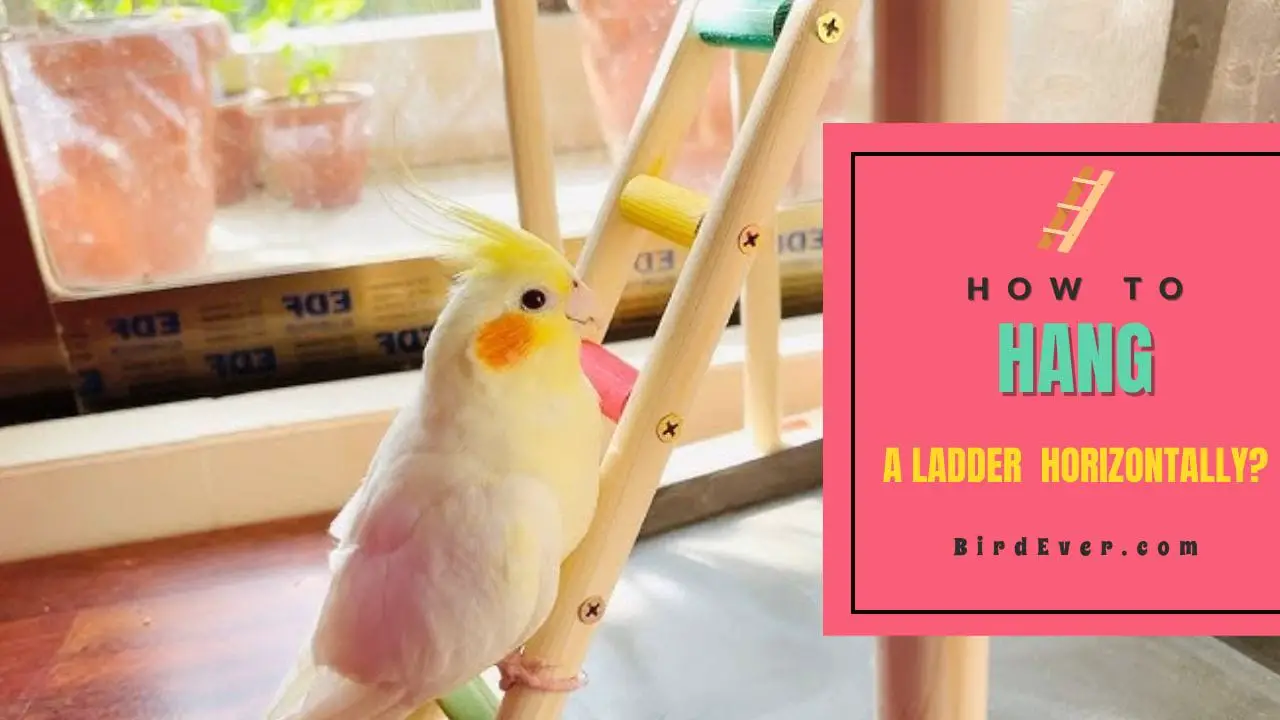 How to Hang a Ladder Horizontally