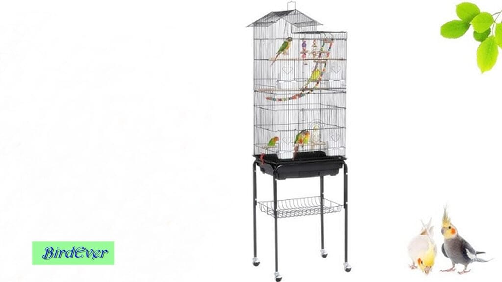 Metal Bird Cage Ladders - Perfect for Your Feathered Friends 5 Invest in Metal Bird Cage Ladders