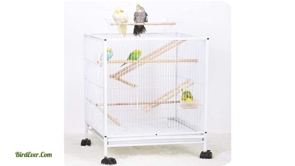 How to Make a Bird Ladder at Home? 2 Is A Bird Ladder Essential
