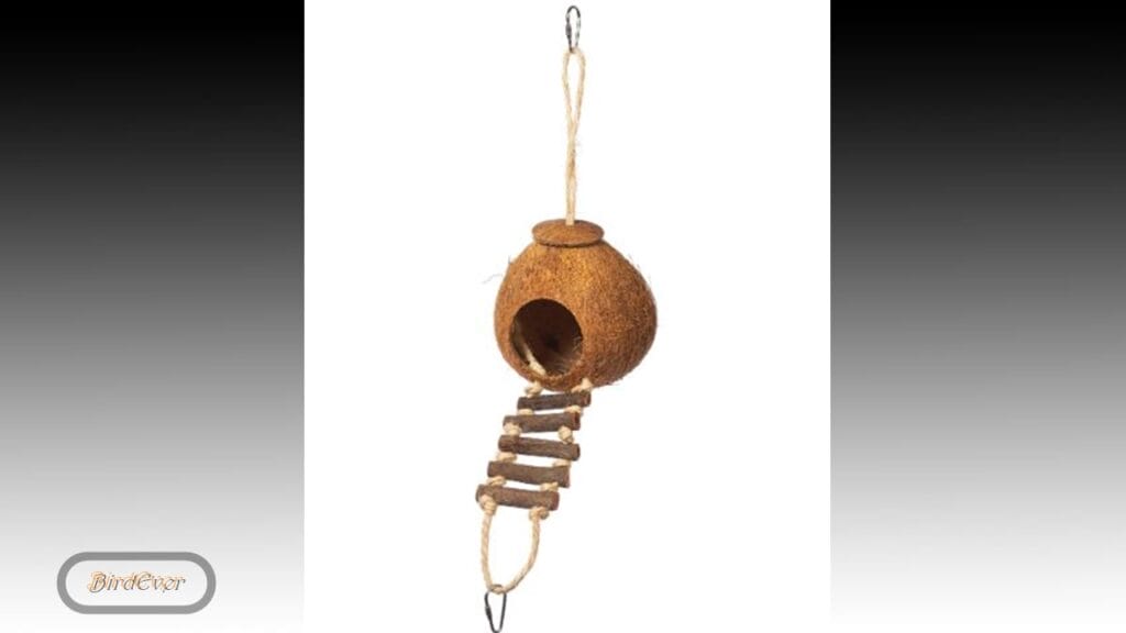 Metal Bird Cage Ladders - Perfect for Your Feathered Friends 4 Kaytee Lava Ledge Bird Cage Ladder