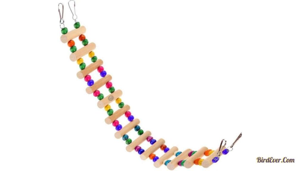 How to Make a Bird Ladder at Home? 3 Step 1 Gather the Materials