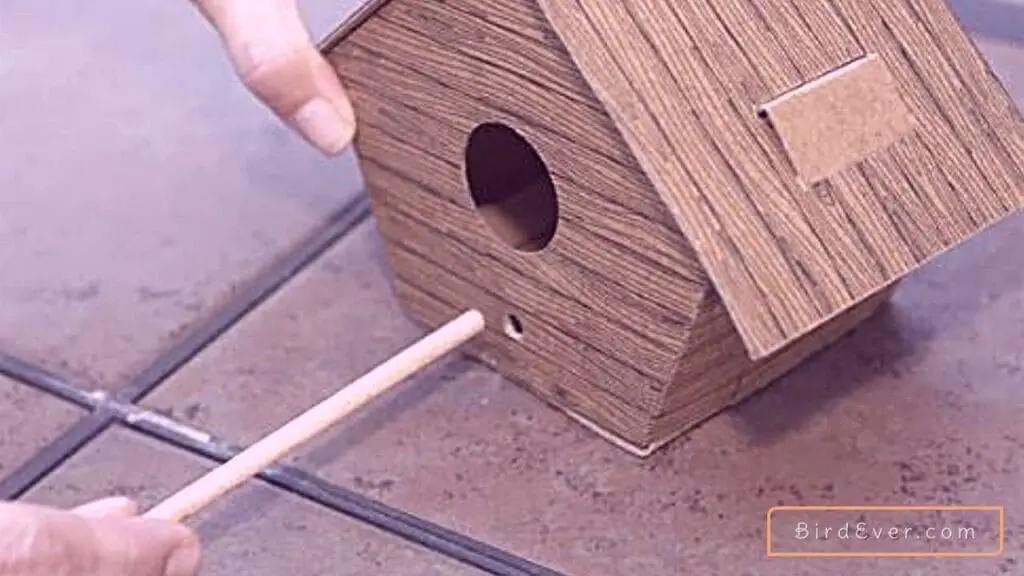 Do Bird Houses Need A Perch? Reveal the Surprising Answer 3 Why Bird Owners Use A Perch on A Birdhouse