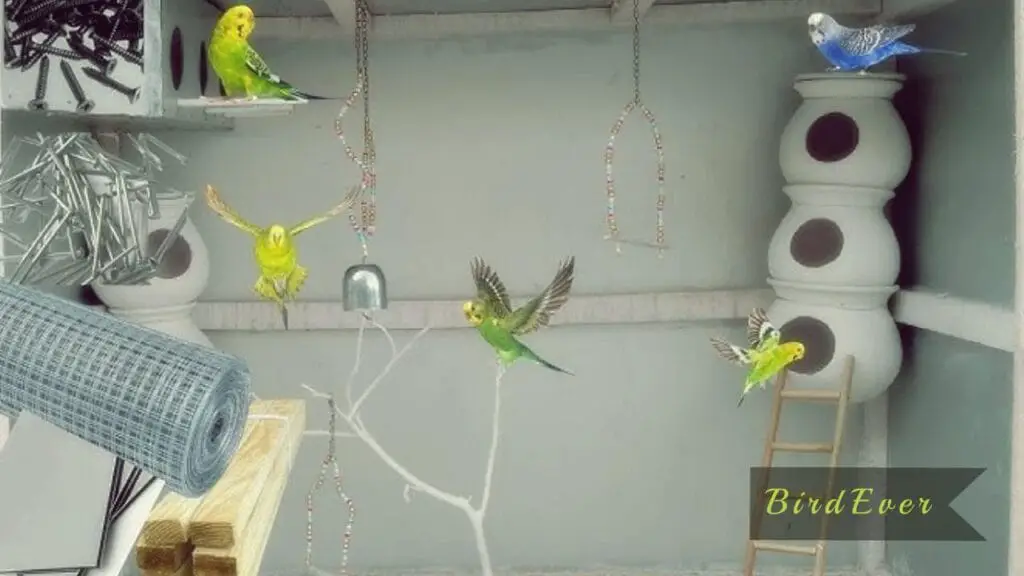 hanging bird ladder